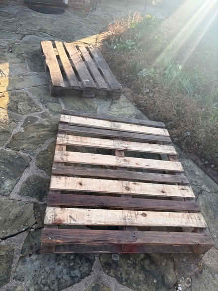 Photo of free Pallets (Kinoulton NG12) #1