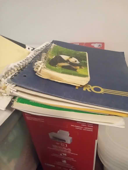 Photo of free Artist portfolio, binders, canvas+ (Peekskill, NY) #3