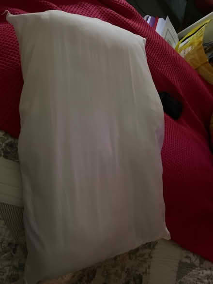 Photo of free Freshly washed pillow (Fareham central PO16) #1