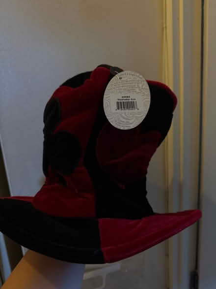 Photo of free Hat and necktie costume (West Ham E15) #1