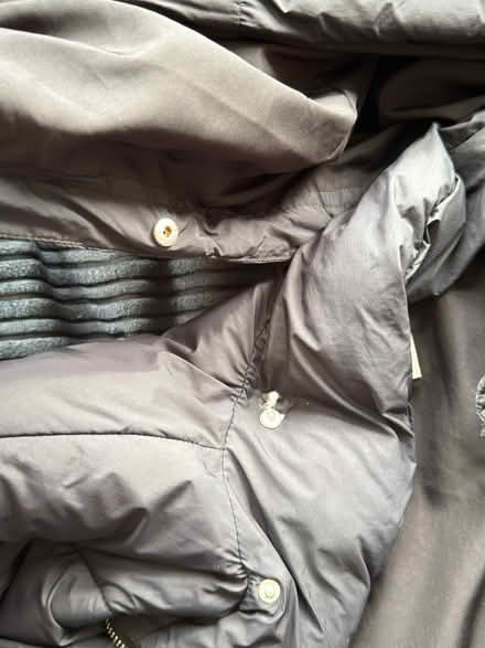 Photo of free Ladies winter jacket (Levenshulme M19) #2