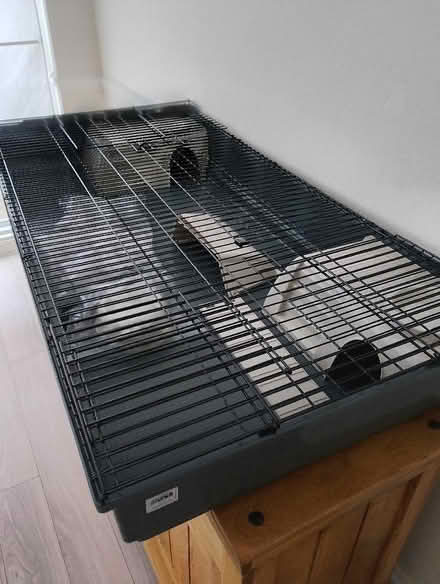 Photo of free Guinea Pig/Rabbit cage (Kingswood SS16) #2