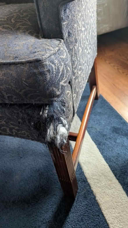 Photo of free Wing-Back Chair (Reupholstery!) (Near Schaumburg Village hall) #3