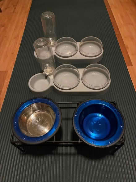 Photo of free cat food dishes (Tacoma (98405)) #1