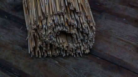 Photo of free decorative bamboo (Levenshulme M12) #2