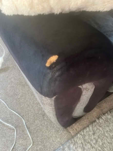 Photo of free Corner Sofa (DE24) #2