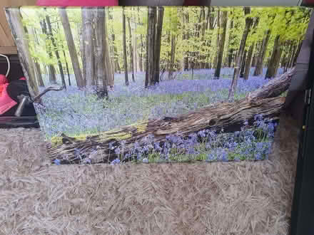 Photo of free Woodland canvas artwork (Elstow MK42) #1