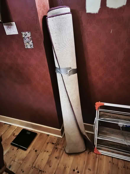 Photo of free Large purple carpet (CR0) #2