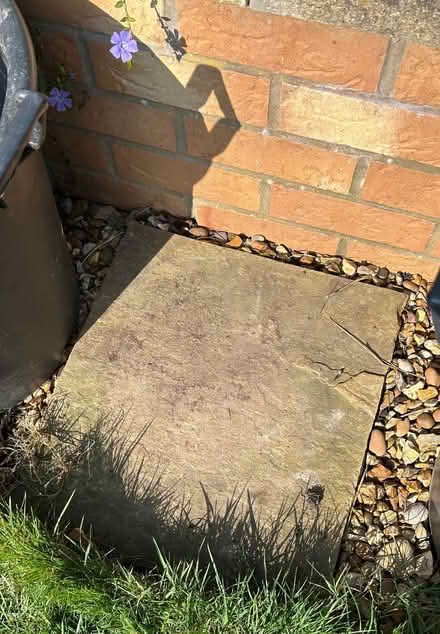 Photo of free Pieces of Indian stone (Clayton Green PR6) #2