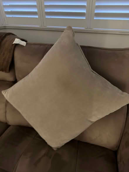 Photo of free 2 x Next Stone 59 x 59cm Soft Velour Cushion (ME9) #3