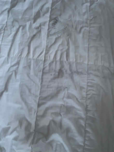 Photo of free Double duvet 10.5 tog (Upshire EN9) #2