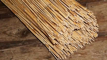 Photo of free decorative bamboo (Levenshulme M12) #3