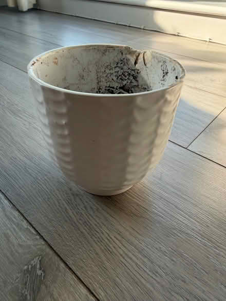 Photo of free Plant pot with slight chip (Weston) #2