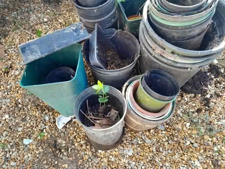 Photo of free Plastic garden pots (Felpham, PO22 7) #1