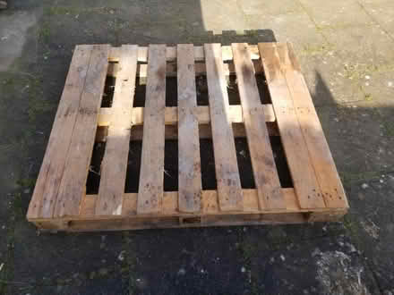 Photo of free Pallets x2 (Gloucester) #3