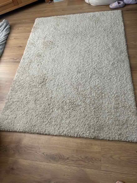 Photo of free Washable rug (moston M40,) #1