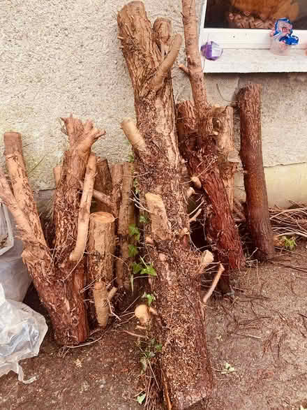Photo of free Firewood to take away (Stacks villas) #1