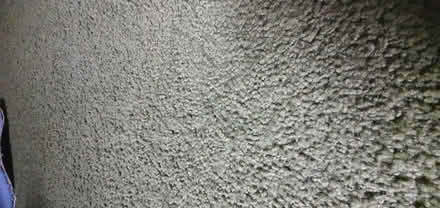 Photo of free Green low pile carpet (little billing NN3 9) #1