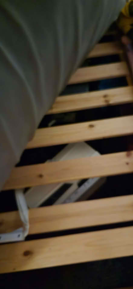 Photo of free Solid single bed (Windygates KY8) #1