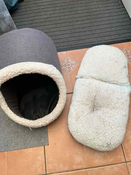 Photo of free Cat/small dog bed (WN7) #2