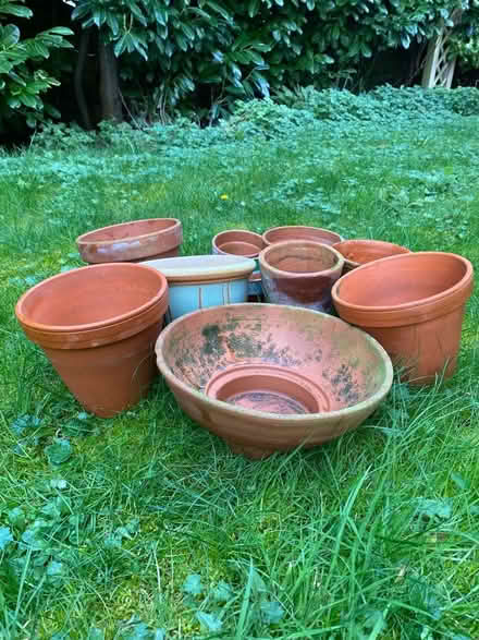 Photo of free Flower pots (Maidenhead SL6) #2