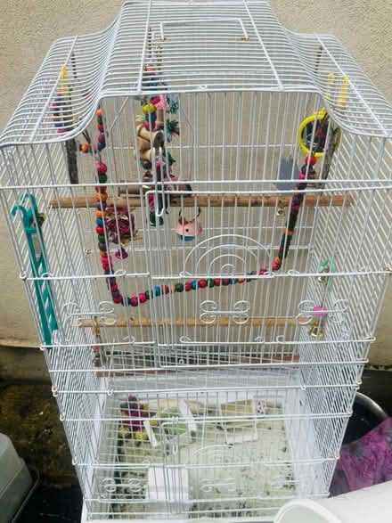 Photo of free large bird cage (LU3) #2