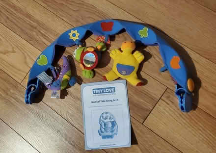 Photo of free Activity Arch for baby seat (Near Experimental Farm) #1