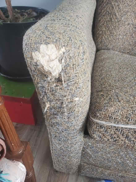 Photo of free Pull out couch (North end lindsay) #2