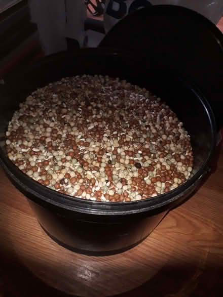 Photo of free Bird seed (Galgate LA2) #1