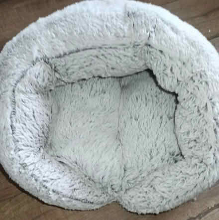 Photo of free Small Cat bed (Odd Down) #1