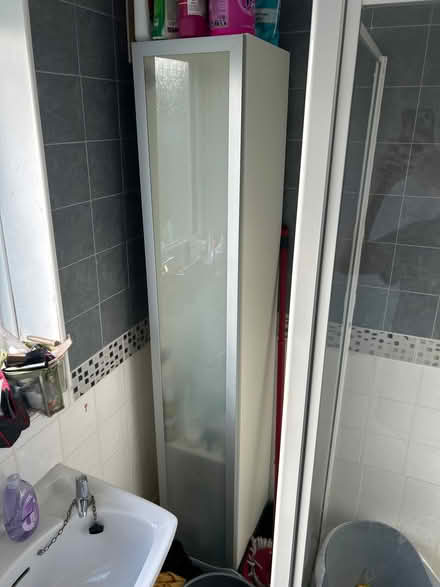 Photo of free Bathroom Cupboard (Teams NE8) #1