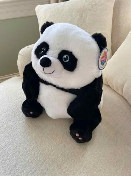 Photo of free Stuffed Panda (Cleveland Park) #1