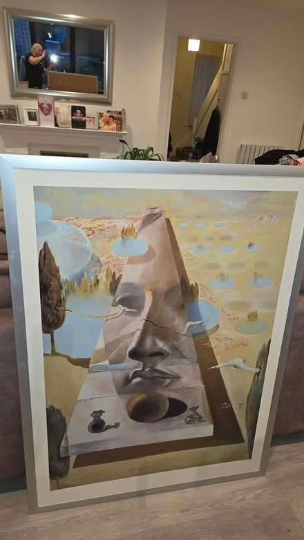 Photo of free Large picture free of charge (TN15) #3