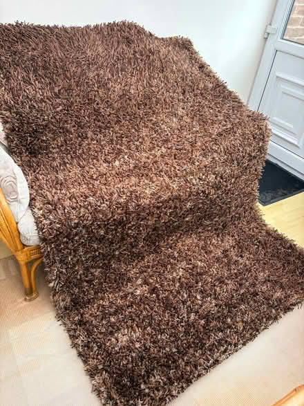 Photo of free Brown rug (Woolston WA1) #2