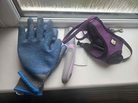 Photo of free Various bits for cats (Woodside, DY2) #1