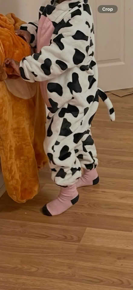 Photo of free Kids Cow Pyjamas Age 2-4 (Levenshulme M19) #4