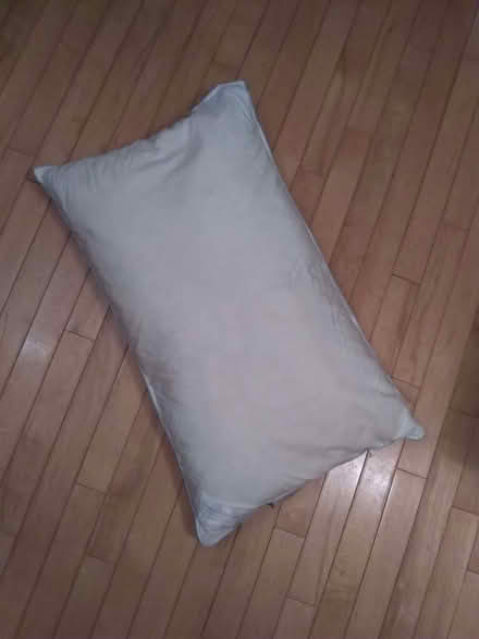 Photo of free Feather/down pillow (Redhill Common RH1) #1