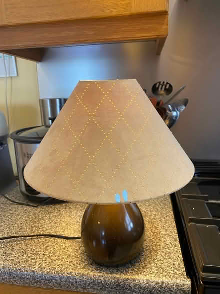 Photo of free Small lamp and ceiling lamp shade (Dublin 9) #1