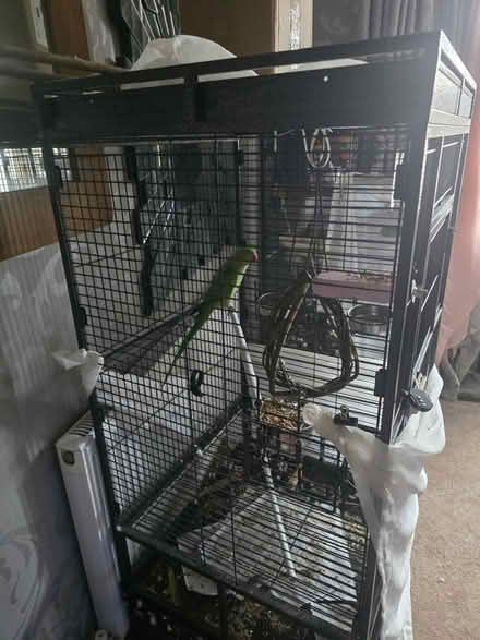 Photo of free Cage food and seb needs good home (SY7) #2