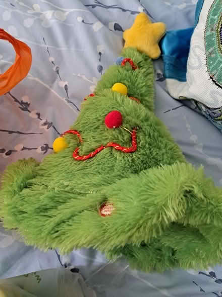 Photo of free Musical Christmas hat (Southport PR8) #1