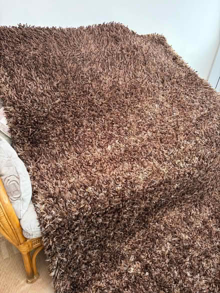 Photo of free Brown rug (Woolston WA1) #1