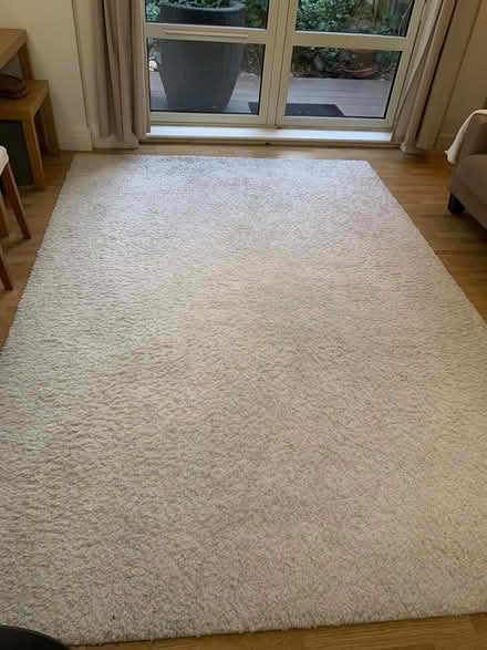 Photo of free Carpet (Belgravia SW1W) #1