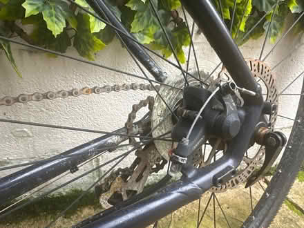 Photo of free Hybrid bike (Templepan wood WD3) #2