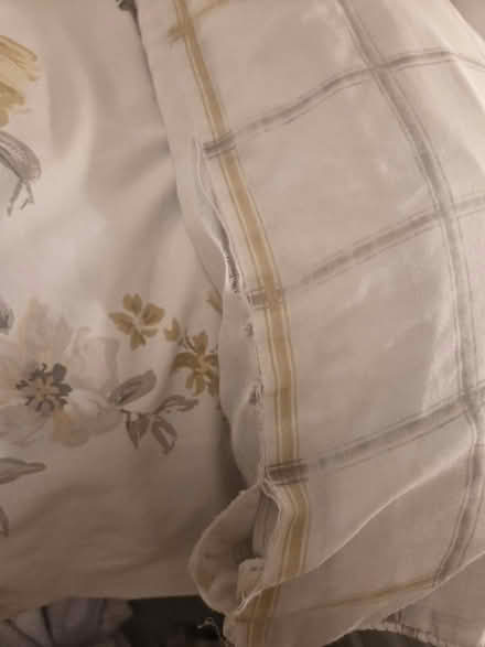 Photo of free King-size Cover & Pillow Covers (Lightwood ST3) #3