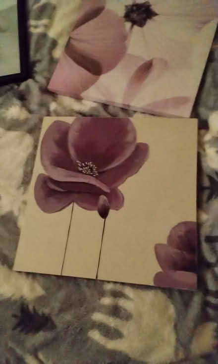 Photo of free Two pictures (Spondon derby) #2