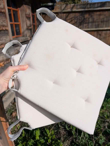 Photo of free Ikea chair cushions (Streatham SW16) #1