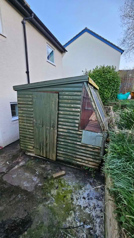 Photo of free Garden shed (Conwy LL32) #3
