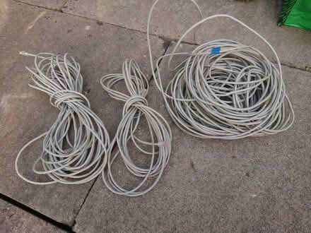Photo of free CAT5 long cables (Copt Hewick HG4) #1