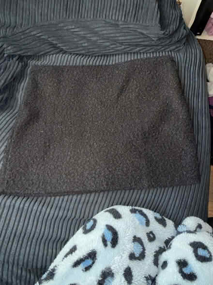 Photo of free Mango Mini skirt Size 16 or big 14 (Levenshulme M19) #2