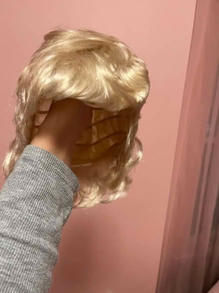 Photo of free Blond wig (Winter Hill) #2